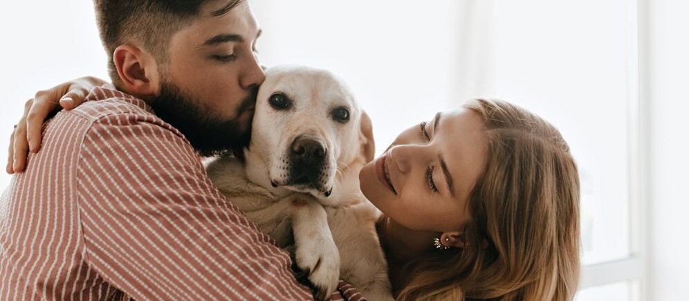 Em caso de separação, quem fica com o bichinho de estimação?