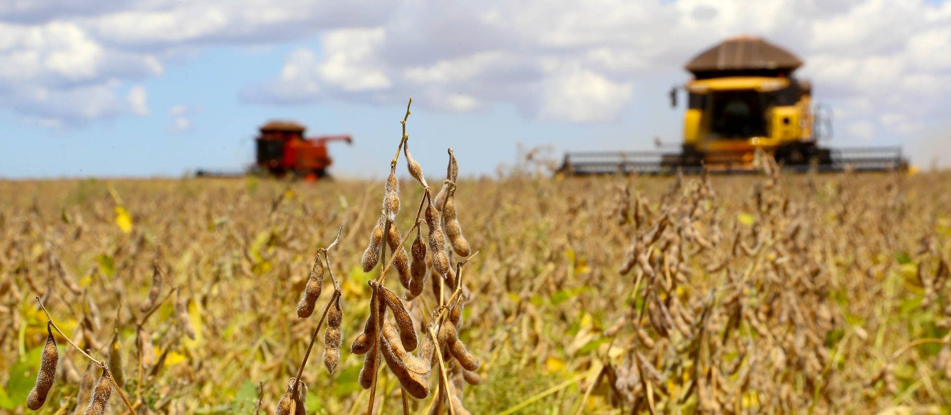 Paraná vai decretar estado de emergência climática