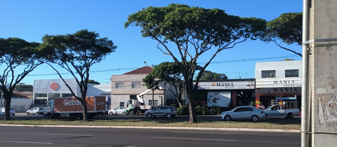 Ouvinte fica indignado com poda de árvores na Avenida Colombo