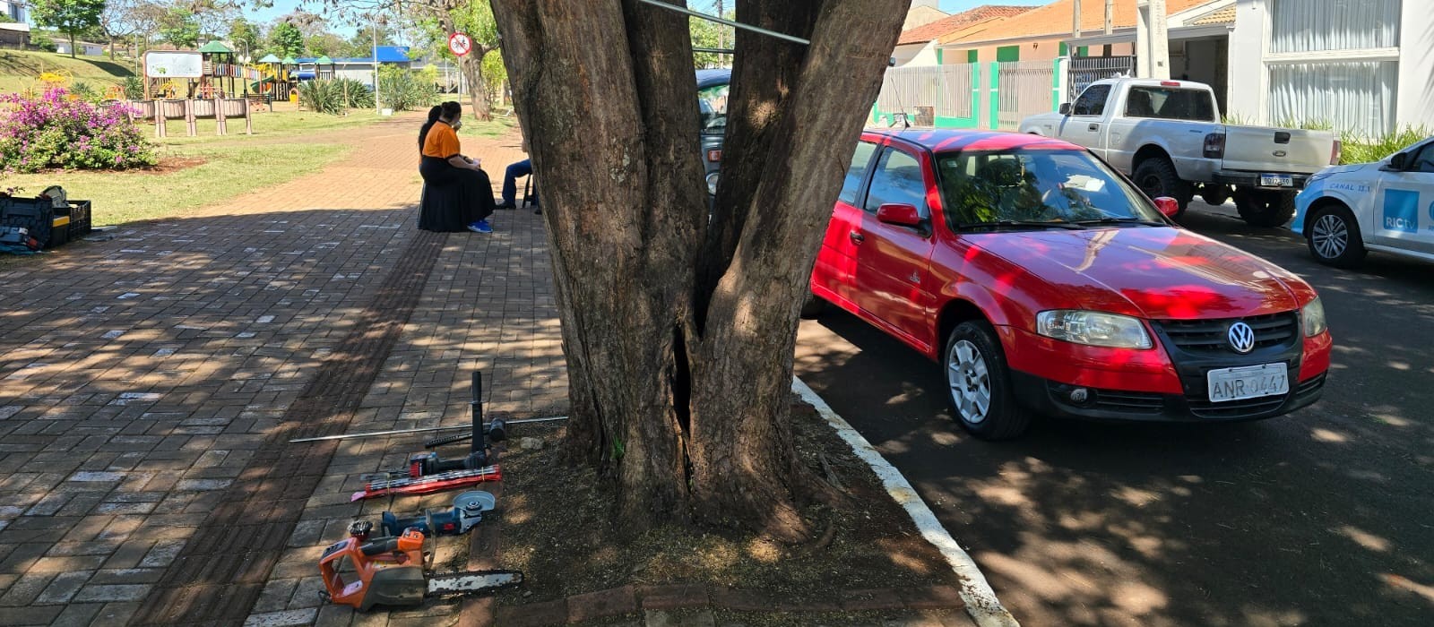 Na semana da árvore, Marialva parafusa tronco de Sibipiruna para salvar a planta