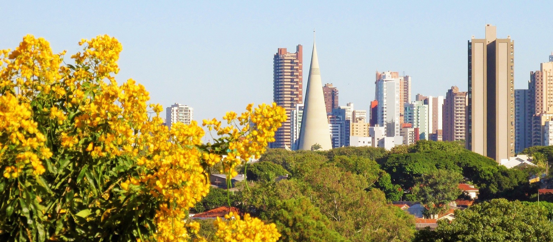 Sexta-feira (9) terá máxima de 34º C em Maringá; tempo segue estável nesse fim de semana