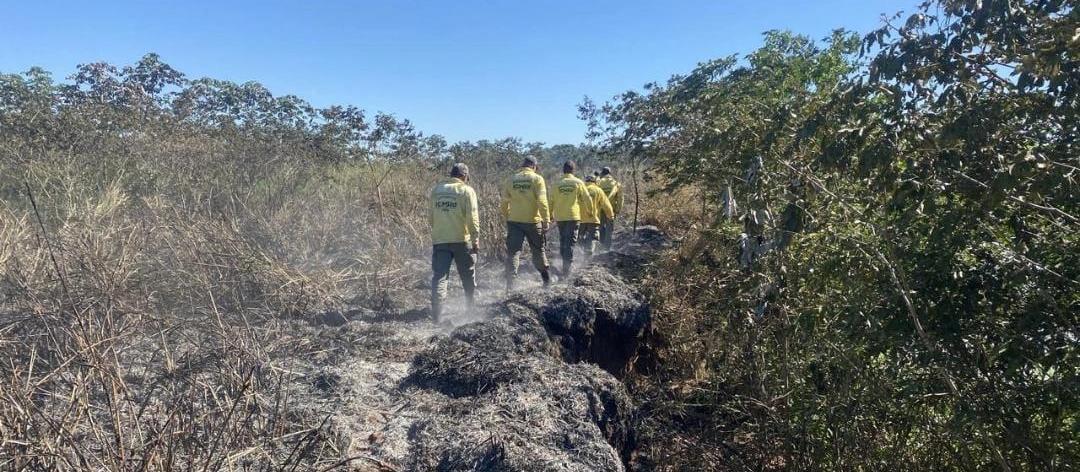 Incêndio atinge ilha onde não havia registro de fogo há 20 anos