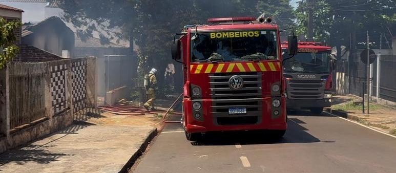 Cães morrem carbonizados em incêndio