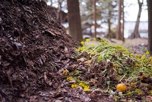 Fórum Lixo e Cidadania debate coleta seletiva e compostagem em assembleia