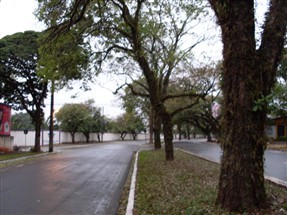 Domingo de chuva e tempo nublado em Maringá e previsão de geada para terça-feira