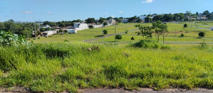 29 terrenos são leiloados pela Prefeitura de Umuarama 