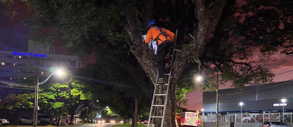 Começa a instalação da decoração da Maringá Encantada