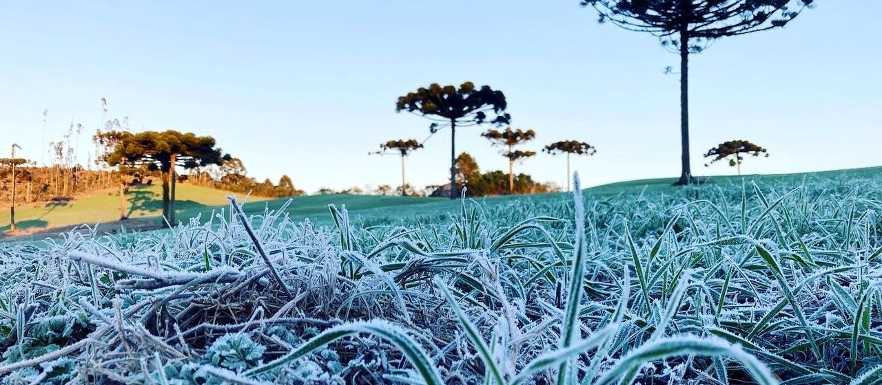 Inverno no Paraná deve ter poucas ondas de frio, dias sem chuva e geadas, prevê Simepar