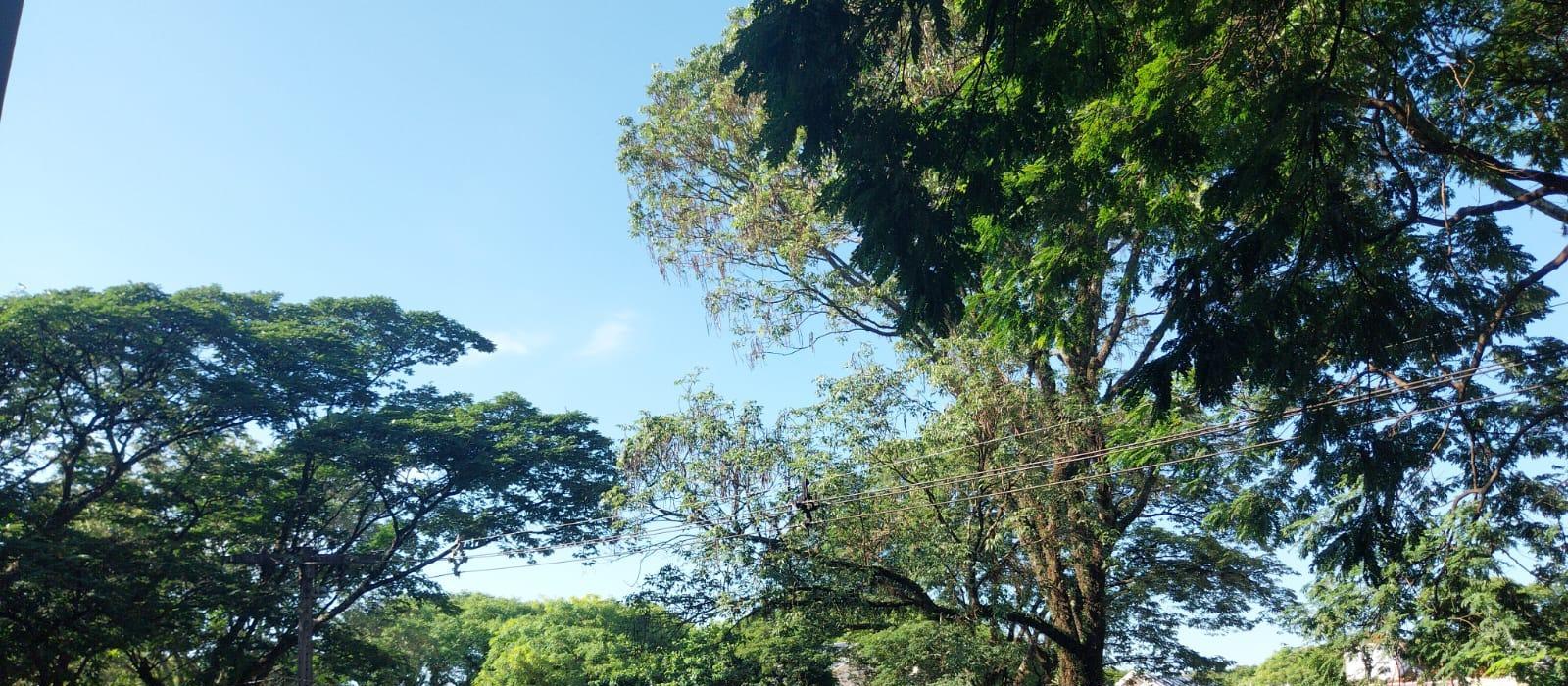 Confira a previsão do tempo para este domingo (10)