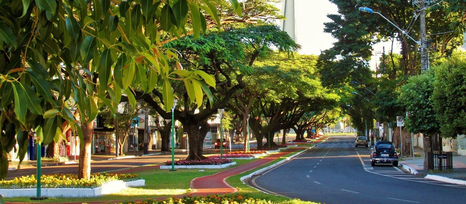 Maringá tem máxima prevista de 25º C nesta quarta-feira (26); tempo segue estável