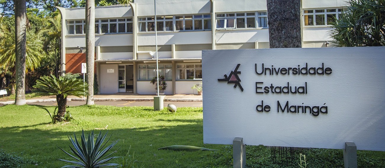 Projeto de extensão da UEM  quer aproximar crianças da ciência