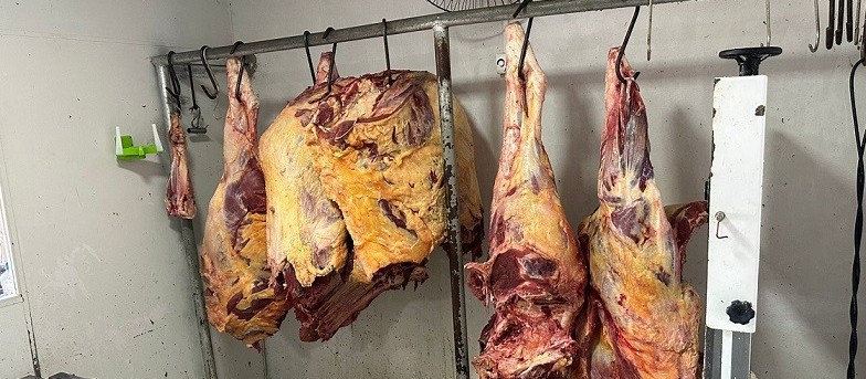 Dono de açougue é preso por receptação de carne de animal furtado no pasto 