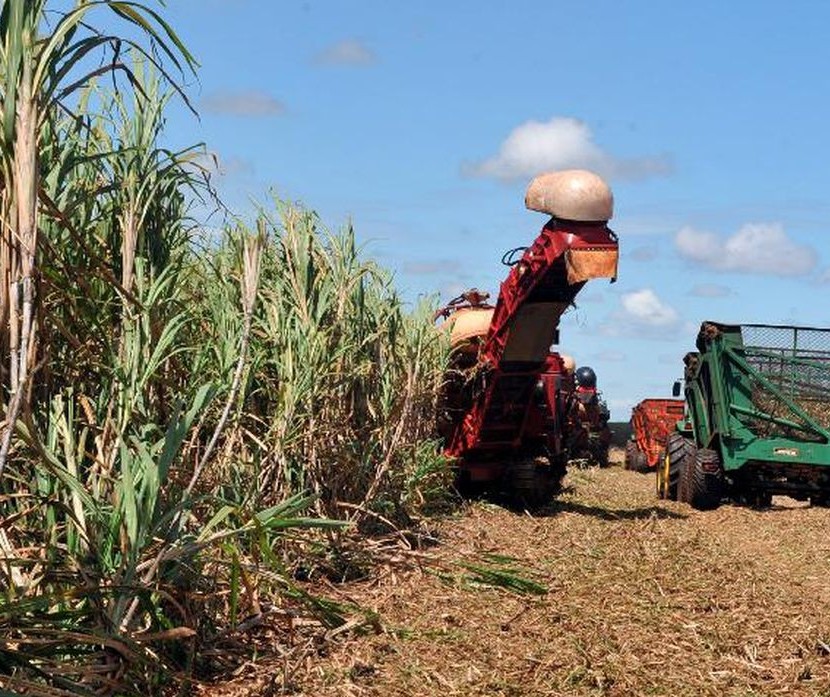 Instabilidade nos preços leva produtores a antecipar compra de insumos