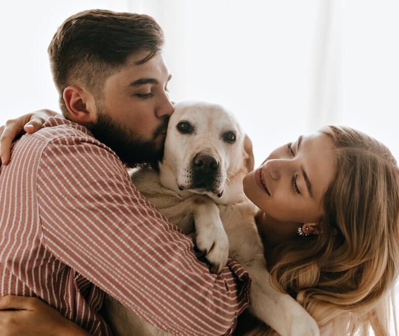 Em caso de separação, quem fica com o bichinho de estimação?