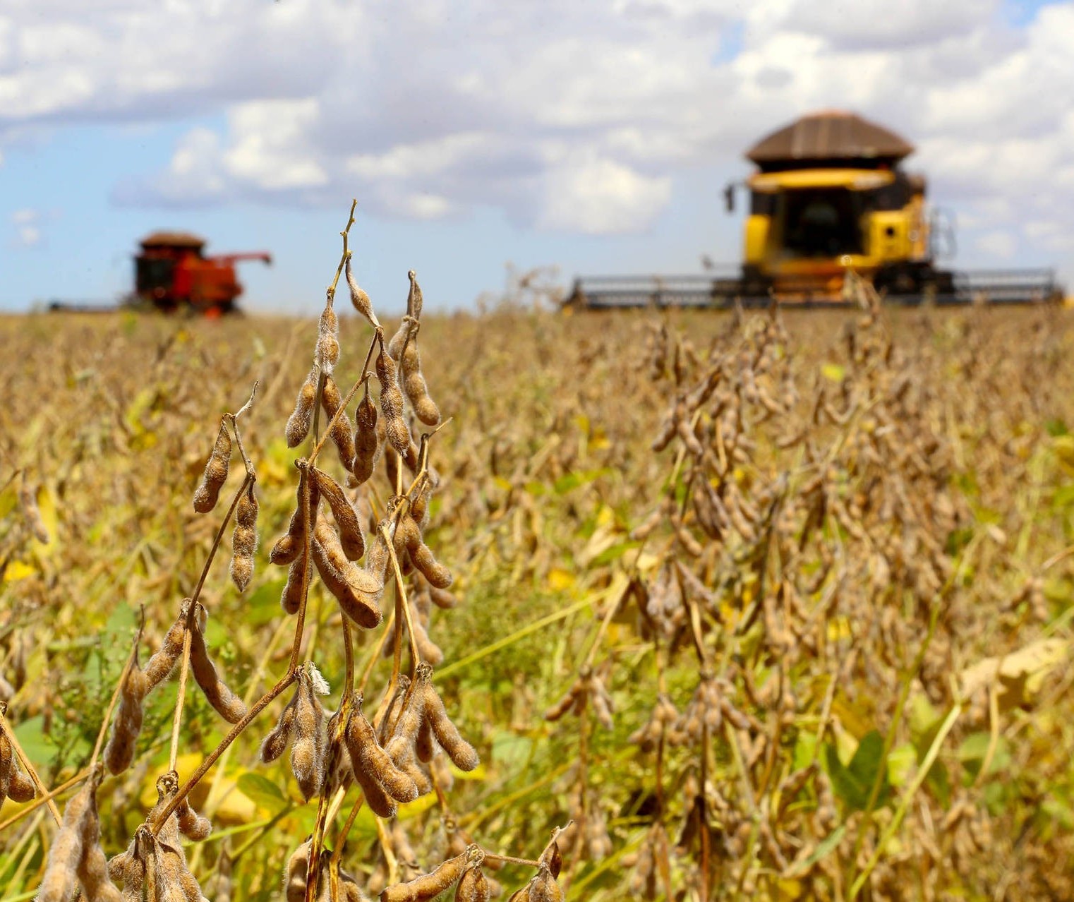 Paraná vai decretar estado de emergência climática