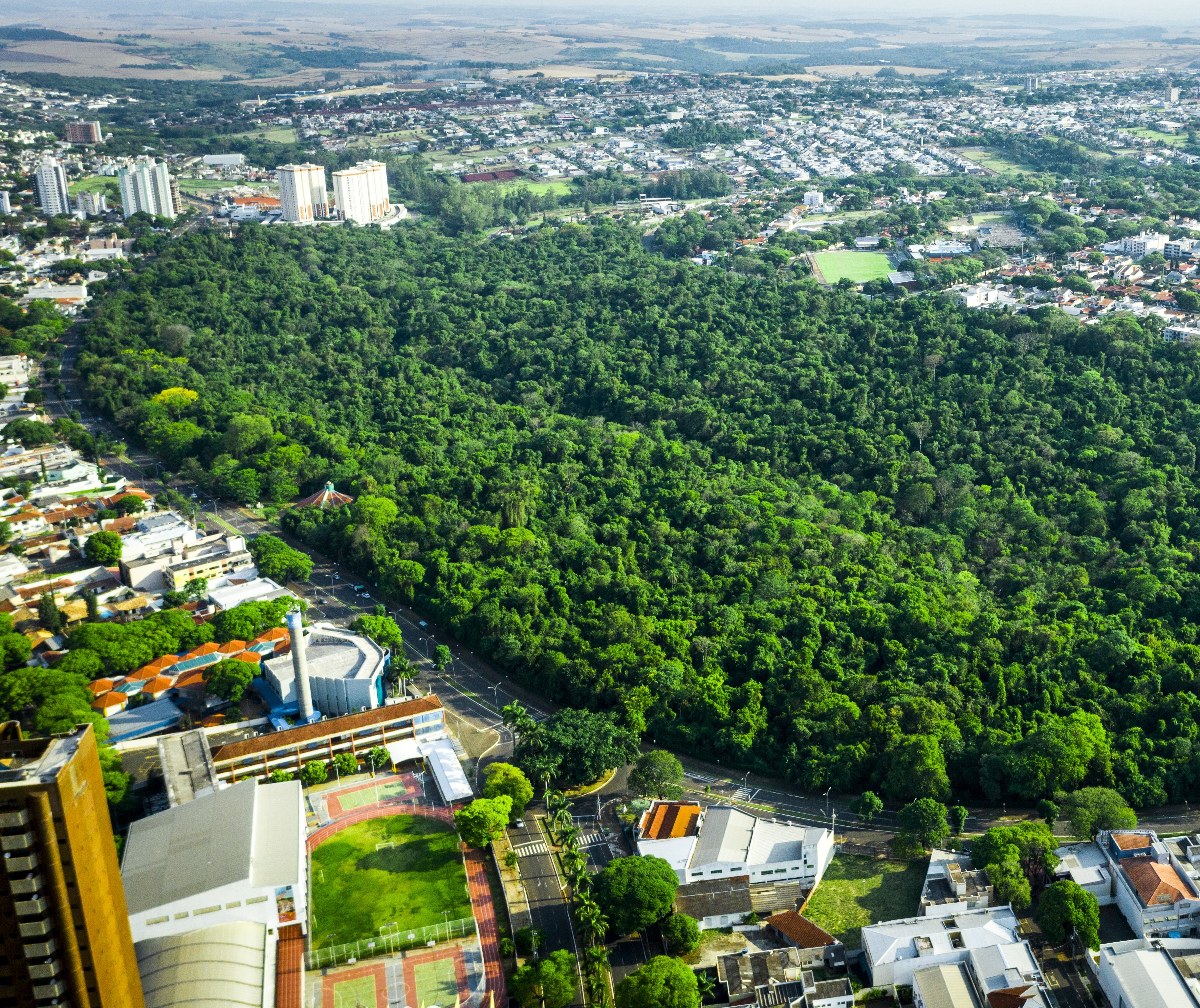 IPTU Verde para 2025 pode ser solicitado até 30 de junho