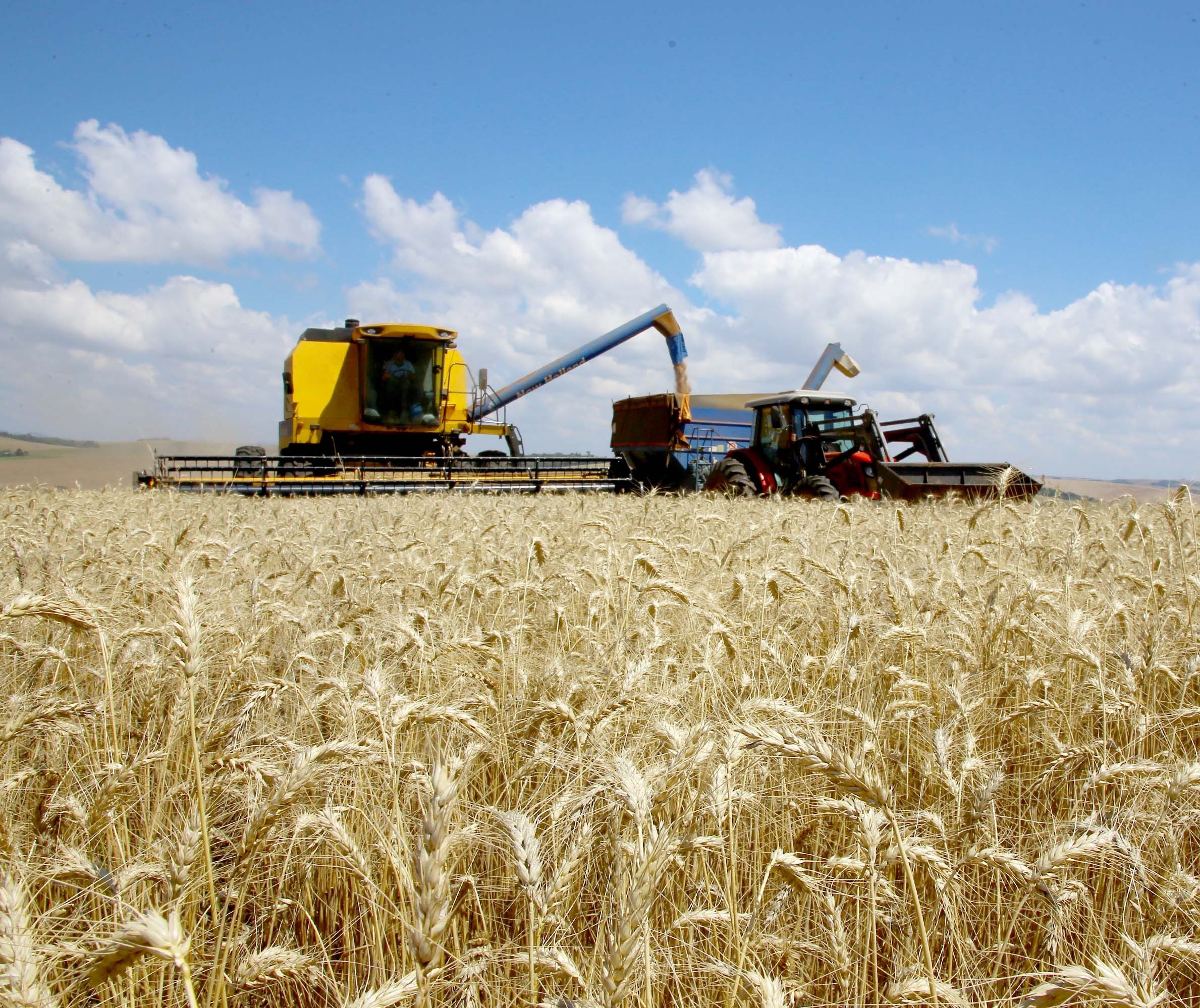 Agronegócio pode ter segurança em um mercado incerto