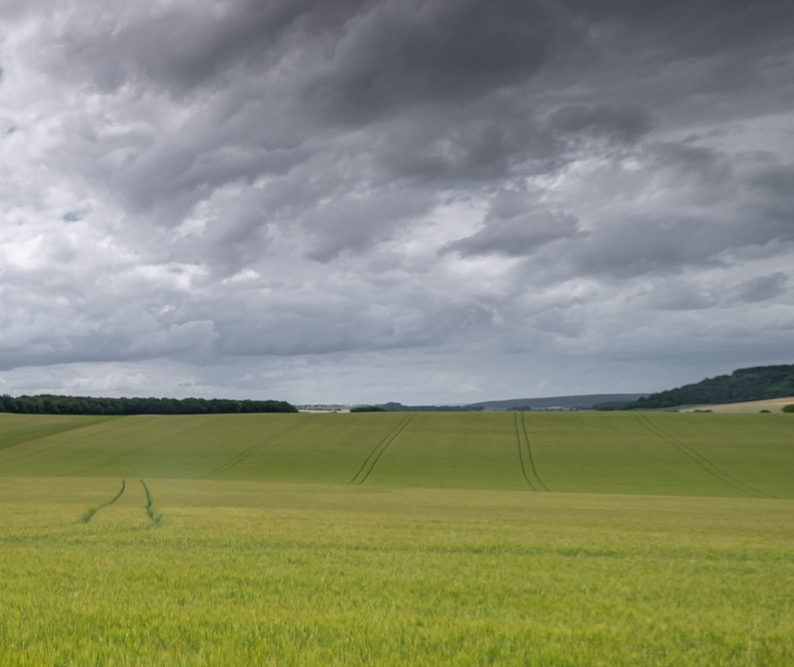 Chuva atrapalha o início da colheita na região de Maringá