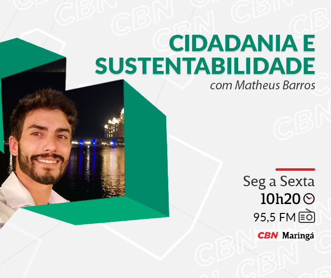 População de insetos diminuiu em média 73% em 27 anos, revela pesquisa