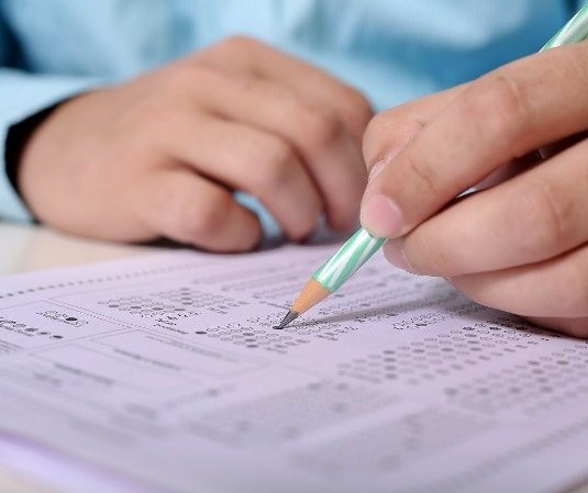 Abertas inscrições para concurso do Conselho Federal de Medicina Veterinária do Paraná