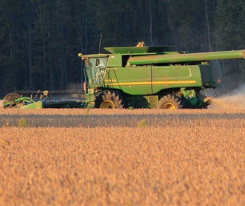 A commodity brasileira que está sendo um porto seguro em meio ao pânico global