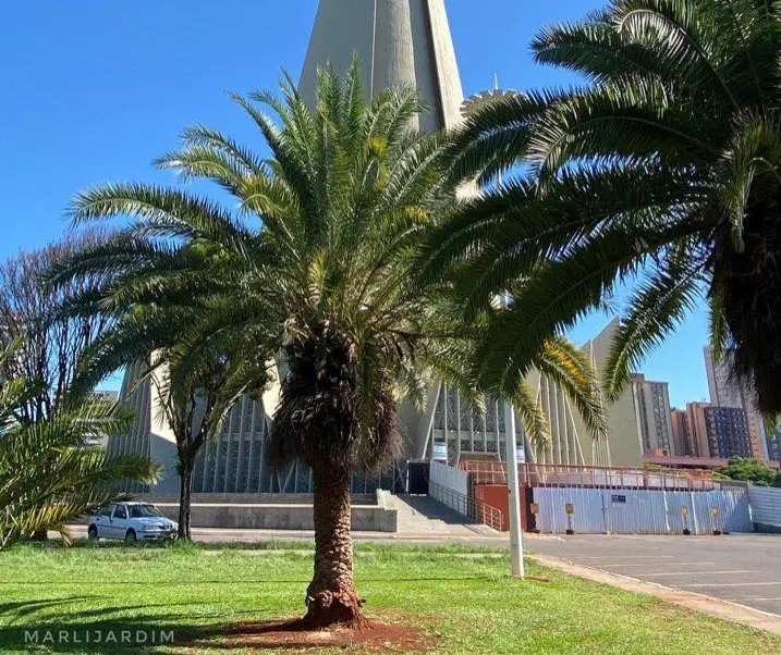 Veja como fica o tempo em Maringá neste feriado (21)