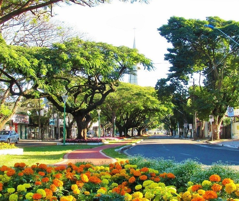 Quarta-feira (31) será ensolarada em Maringá; máxima chega a 27º C à tarde