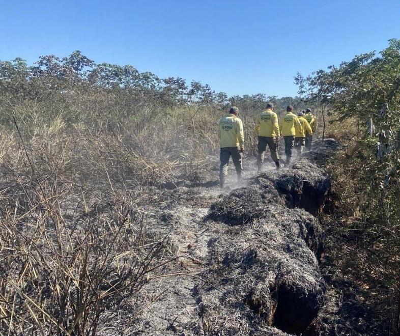 Incêndio atinge ilha onde não havia registro de fogo há 20 anos