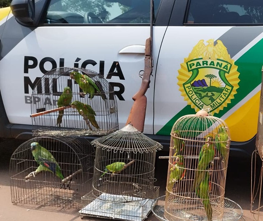 Mulher é presa por manter aves silvestres em cativeiro