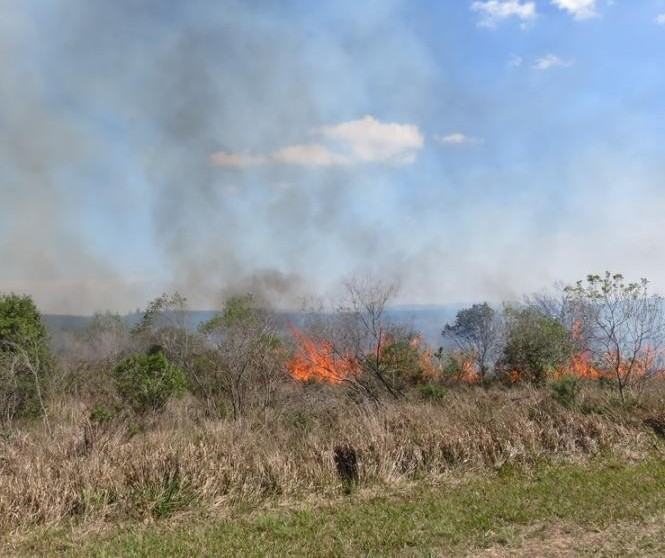 Bombeiros registram 267 incêndios ambientais este ano