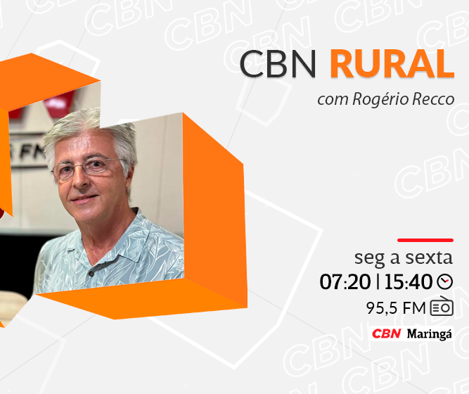 29ª Expotécnica começa nesta quarta-feira (10), em Sabáudia