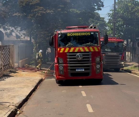 Cães morrem carbonizados em incêndio