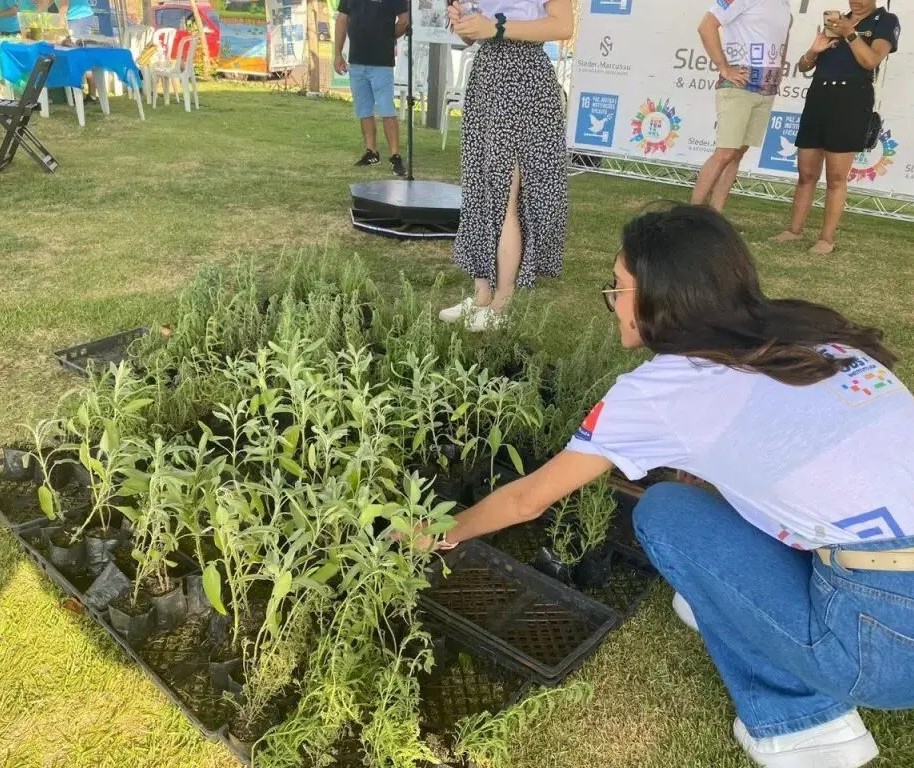 Arena Sustentável começa nessa sexta-feira (7) e vai até domingo (9)