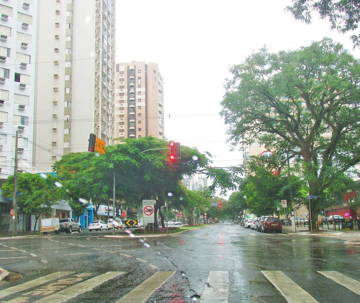Segunda-feira (8) será chuvosa em Maringá; máxima não deve passar dos 20º C