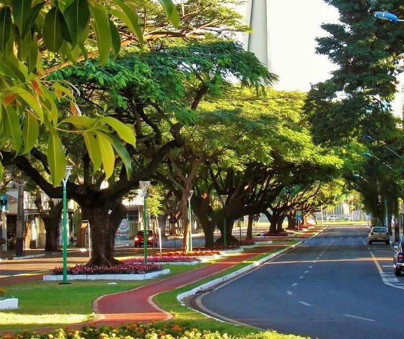 Terça-feira (19) será de calor intenso em Maringá; máxima chega aos 37º C