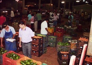 Frio não afetou os preços de hortaliças na Ceasa de Maringá