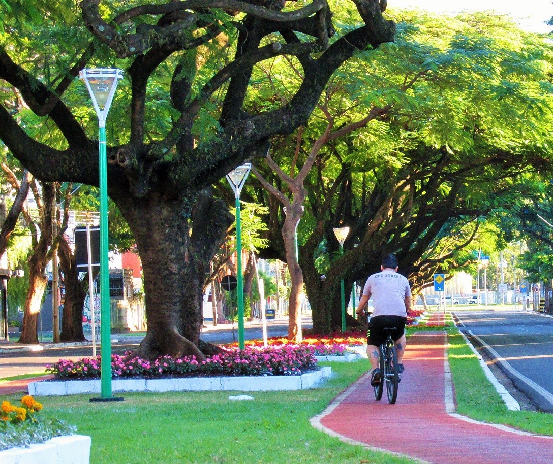 Edital prevê construção de ciclovia na Avenida Tuiuti