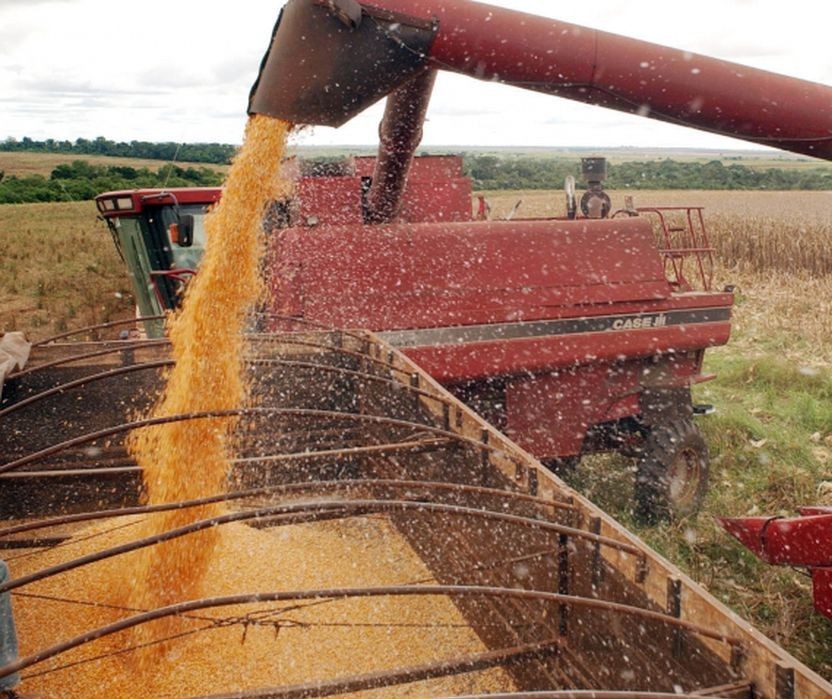 Contrato futuro de produtos agrícolas é um bom negócio