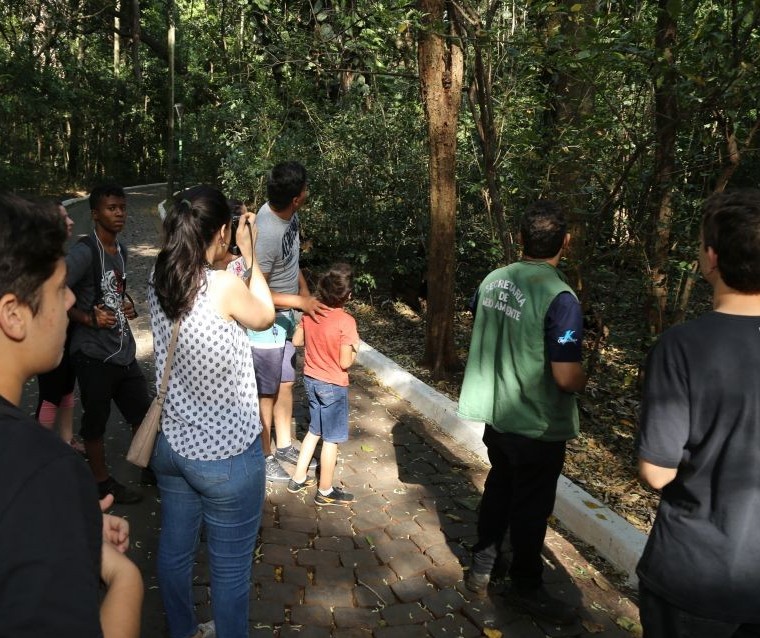 Evento de observação de aves será realizado no Parque do Ingá no domingo (22)