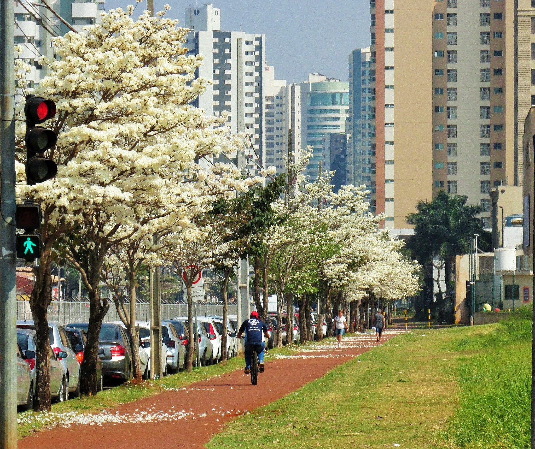 Quarta-feira (4) terá tempo quente e seco em Maringá; veja previsão