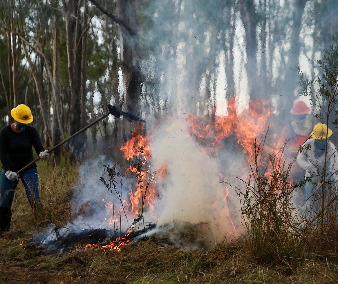 Bombeiros combatem incêndios ambientais em várias cidades da região