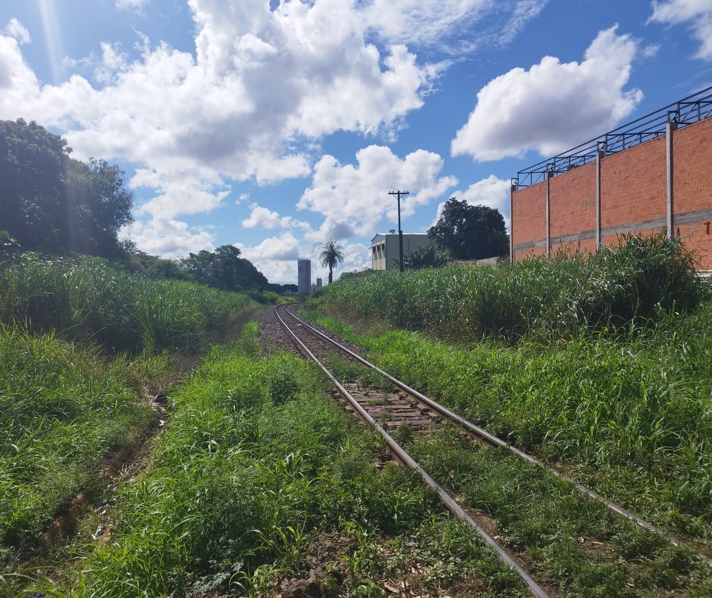 Prefeitura multa empresa Rumo em R$ 15 mil reais por conta do mato alto em linha férrea