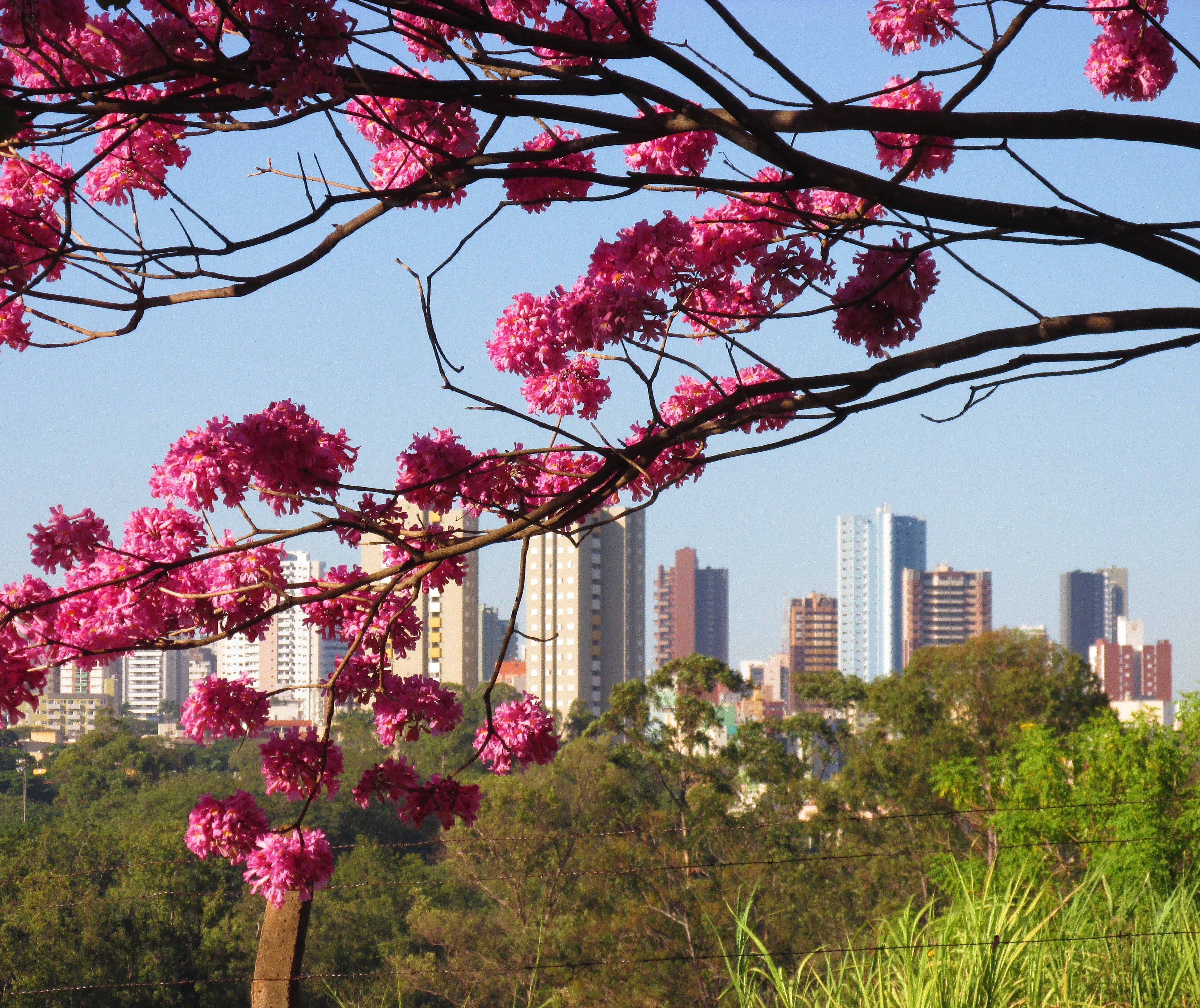 Temperaturas seguem em elevação nesta terça-feira (23), em Maringá